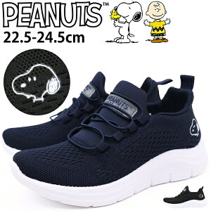 Xb| fB[X Xk[s[ Xj[J[ C Vv  킢 ubN  lCr[  _炩 y y Vv d E ʋ ʊw i JWA lC LN^