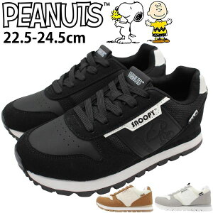 Xk[s[ Xj[J[ fB[X C s[ibc Vv  킢 ubN  zCg x[W NbV d ʋ ʊw i R[f JWA lC LN^[ Eb