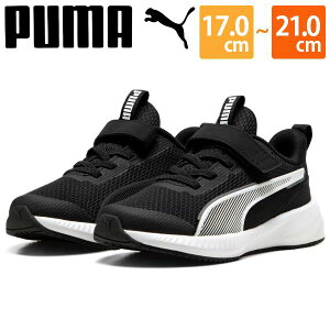 y4000~|bLz v[} LbY C Xj[J[  ubN qǂ q WjA j̎q ̎q }WbNe[v ʃt@Xi[ xN y y ₷ ₷ ̈ ^C PUMA 4