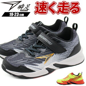 y30聚Pő8{z u Xj[J[ LbY WjA q C j̎q ̎q  ubN CG[ y y ₷ ₷ Ȃ Ȑ  ʊw ʉ ^ ̈ ^ X