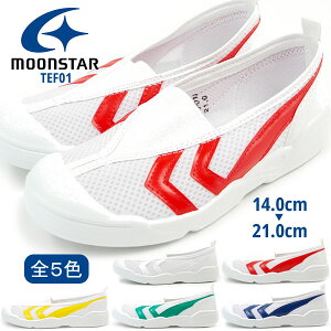 y25聚Pő8{z [X^[ moonstar 㗚 TEF01 oCITEF 01 LbY o[V[Y WjA YbN ^C wZ XN[ ̈  R hL 