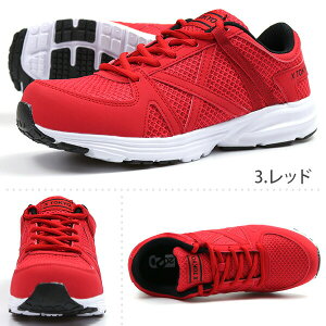 SC Y C Z[teB[V[Y Xj[J[    ubN lCr[ bh vX`bN c y y L CY 3E XTOKYO 5959