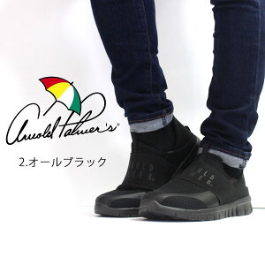 Xj[J[ Y C Xb|  ubN lCr[ O[ y y A[mhp[}[ Arnold Palmer AP0018