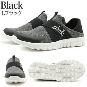 Xj[J[ fB[X C Xb|  ubN O[ y y   vv Ƃ߂ A[mhp[}[ Arnold Parmer AN0909