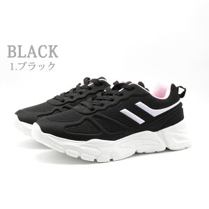 y25聚Pő8{z Xj[J[ h fB[X C   ubN lCr[ y y J  ɂ ʊw ʋ v`v vv PASTLARE SKR-1041