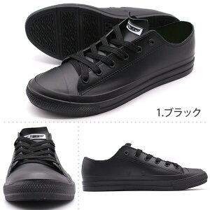 Xj[J[ Y C h  J̓ h ɂ Ȑ ₷  ubN  lCr[ xAT[t bear surf BS-1016