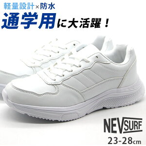 Xj[J[ Y fB[X LbY WjA C  zCg h ʊw ʋ w w Z wZ Vw 傫TCY TCY J̓ y y  h Vv NEV SURF nev-