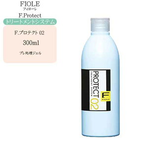 tB[ FveNg02@300giTpg[ggVXejg[gg e Ɩp