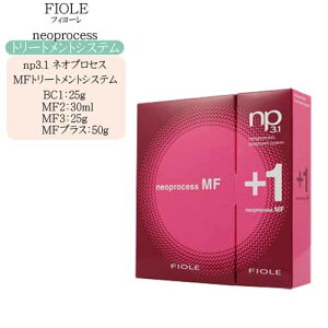 y ZbgztB[ np3.1 lIvZX MFg[ggVXeiZbgijg[gg e tB[ lIvZX e ꔄi