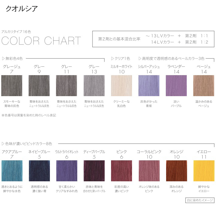 【誠実】 FIOLEフィヨーレBLカラー・クオルシアカラー30本セット☆ カラーリング剤