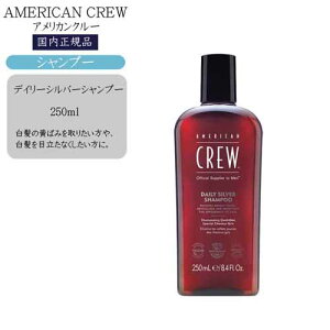 yKizAJN[ fC[Vo[Vv[ 250ml ڂ Vv[ {g Y Vv[ jpVv[ B ΂ݎ }XOC American Crew AMERIC