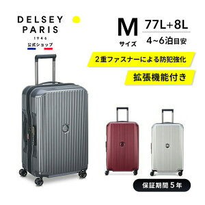 デルセー SECURITIME ZIP Mサイズ 68cm (スーツケース・キャリーケース 