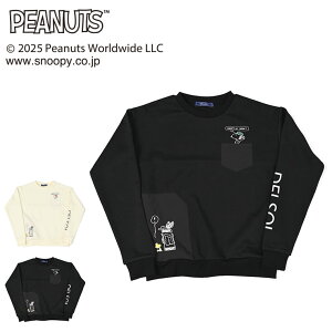 y2025tĐVz7882 DELSOLxPEANUTS@Xk[s[R{@ g[i[ |Pbgt fB[X StEFA f\ St M L LL 3L 傫TCY gbvX t  t Xk[s[gbvX 