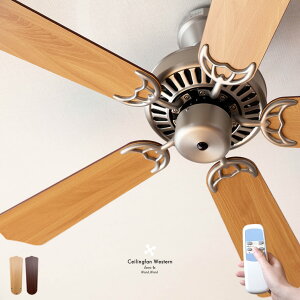 Rt XΓV zV V[Ot@ t@ V R IV CgȂ o[VuŉHFς V[Ot@   rOp ԗp 