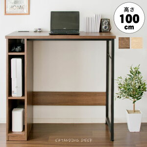 X^fBOfXN 100cm Lb`JE^[ 98cm s45cm X JE^[e[u JE^[fXN p\RfXN ΖʃJE^[ RZgt It ؐ Б nCf