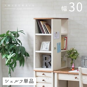VFt 30cm i pC TChbN {I I [ wK  Jg[  X RpNg  zCg VR ؐ q wKfXN Ԏ[30cm trisykC