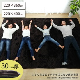 220×360cm 220×400cm 超大判サイズ ラグ カーペット こたつ敷き布団 長方形 大きい 幅広ラグ 大きい ワイド ビッグ 固綿20mm 大判カーペット マット 厚手ラグ ボリューム 厚い ふっくらラグ 防音 クッション 大判こたつ敷 滑り止め 大判ラグ