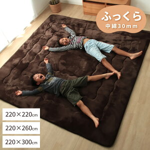 唻TCY O 傫 ~zc ` ` 220×220cm 220×260cm 220×300cm LO 傫 Ch rbO 唻J[ybg }bg 胉O {[  h NbV 唻