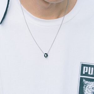 2AO lbNX _Ch 316L T[WJXeX AM[t[ ςȂ XeX Y fB[X ubN sNMtg v[g PURE PIP6501 PLUG IN