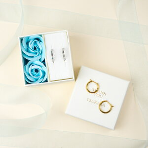 t[vsAX Ւf@^ Jbg  MTCY 17mm T[WJXeX SUS316L fB[X Vv lC   킢 AM[ XeX v[g putisia PUPS018