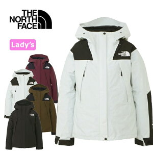 UEm[XEtFCX THE NORTH FACE NPW61800 MOUNTAIN JACKETy30%OFFZ[z(fB[X) }EeWPbg }Eep[J[ GORE-TEX SAebNX VF AE^[ AEghA Lv Xg