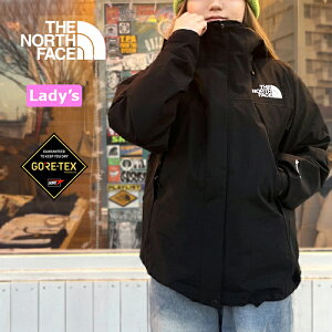 UEm[XEtFCX THE NORTH FACE NPW62400 MOUNTAIN JACKET (fB[X)y20%OFFZ[z }EeWPbg }Eep[J[ GORE-TEX SAebNX VF AE^[ AEghA Lv Xg