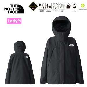 UEm[XEtFCX THE NORTH FACE NPW62510 MOUNTAIN JACKET (fB[X) y10%OFFz}EeWPbg }Eep[J[ GORE-TEX SAebNX VF AE^[ AEghA Lv Xg[g 