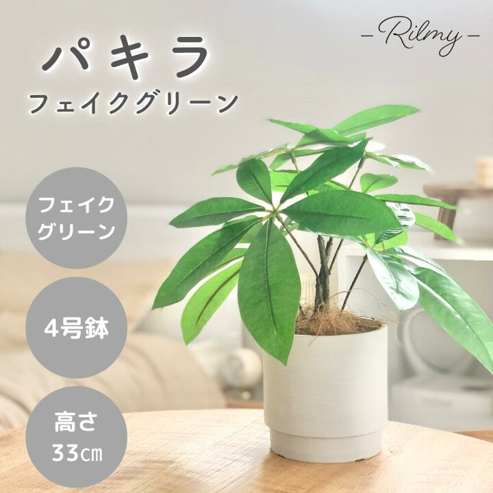 楽天市場】Rilmy リルミー フェイクグリーン 卓上 パキラ 高さ40cm 