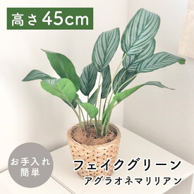 Rilmy インテリアグリーン　アグラオネマリリアン　ナチュラルインテリア　フェイクグリーン　人工観葉植物　おしゃれ　かわいい　可愛い　リルミー　オシャレ