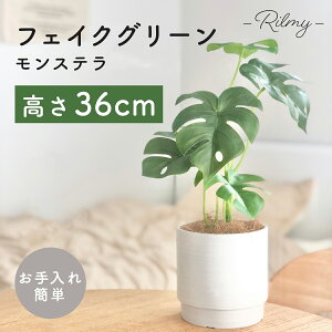 y}\聚N[|500~OFFz Rilmy tFCNO[  ϗtA e[uXe Vzj j ̓ a oYj 36cm i` CeAO[