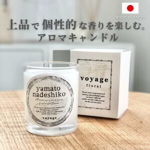 A}Lh Lh tOX   i Mtg v[g ؍CeA i`CeA   킢 bNX voyage H[W OXL