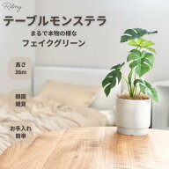 Rilmy フェイクグリーン 卓上 観葉植物 テーブルモンステラ 新築祝い 結婚祝い 母の日 誕生日 出産内祝い…