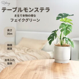 Rilmy フェイクグリーン 卓上 観葉植物 テーブルモンステラ 新築祝い 結婚祝い 母の日 誕生日 出産内祝い 高さ36cm ナチュラル インテリアグリーン 玄関 トイレ 人工観葉植物 ミニ おしゃれ 枯れない 可愛い リルミー