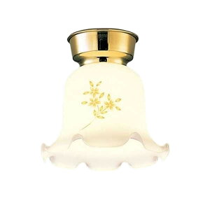 DAIKO DXL-81036 LED�V�[�����O���C�g [�d���F] JAN4955620549698 EC zaiko