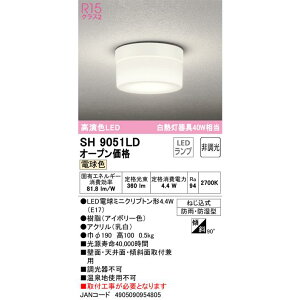 I[fbN SH9051LD LED dF 40`d JAN4905090954805 jyu a