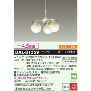 DAIKO DXL-81359 3���V�����f���A4.5���p JAN 4955620746707 jyu a