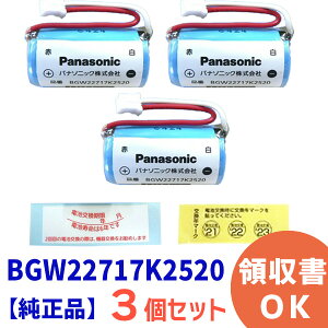 BGW22717K2520y3Zbgzyiz pi\jbN Panasonic 菬K͎{ݗp ΍Ќxpdr CR-2/3AZ drydrIWiNxV[2tz Zp΍Ќx ΍Еm ΍ x