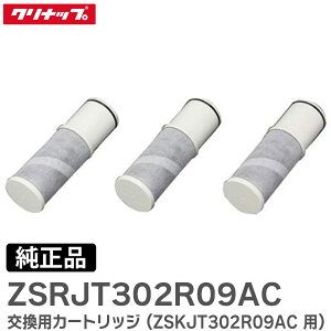 ZSRJT302R09AC y i z pJ[gbW ( ZSKJT302R09AC p ) Nibv ( Cleanup )