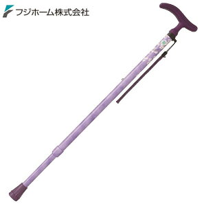 WB3751 ANeBuO[X LkS p[v 芴ǋObv+X_[lbN tWz[ ( Fujihome )