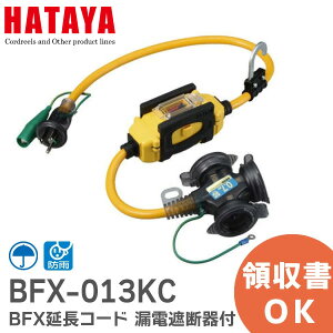 BFX-013KC BFXR[h RdՒft ߕוt yOpz 3RZg^Cv ddl0.7m n^~ebh ( HATAYA ) RdՒftňSESƂ