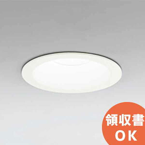 OD261906R �I�[�f���b�N �����F LED�_�E�����C�g �A�������^�C�v ���M��100W���� ��100