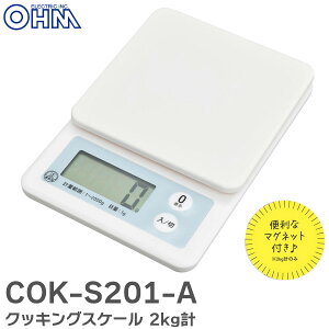 COK-S201-A NbLOXP[ 2kgv u[ 08-1455 [₷RpNgTCY ֗ȃ}Olbgt I[d@ OHM
