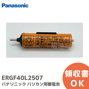 ERGF40L2507 �o���J���p �~�d�r �p�i�\�j�b�N ( Panasonic ) �d�r�y �݌ɂ��� �z