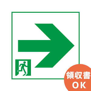 FK20067 �p�i�\�j�b�N LED �U���� �\���� ( �p�l�� )