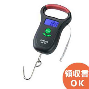 LS-25 JX^ hH݂͂