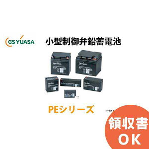 PE12V17 ( PE12V17A �j GS���A�T �� ���`����َ� ���~�d�r PE�V���[�Y �� GS���A�T ���A�T �y����s�z (��񑗗��܂ށj�y�L�����Z���ԕi�s�z�y���Ԏw��s�z�y�󒍕i�z [SOU]