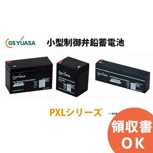 PXL12050JFR GS���A�T�� ���`����َ� ���~�d�r �������d �������^�C�v PXL�V���[�Y �� GS���A�T ���A�T �y �L�����Z���ԕi�s�� �z�y����s�z�y���Ԏw��s�z
