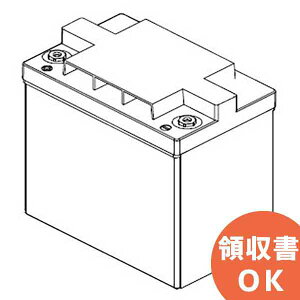 PVX-840T 電菱 ( DENRYO ) 独立型システム用 ディープサイクルバッテリ 12V84Ah (24時間率) PVXシリーズ (SunXtender) 【キャンセル返品不可】【時間指定不可】