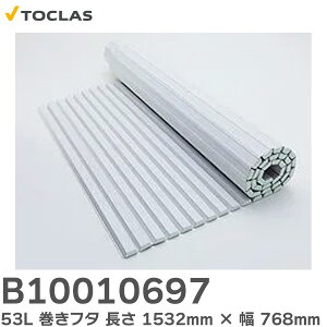B10010697 W 53L t^ Cӂ ( i BFPFTAA090A1 )gNX ( TOCLAS )