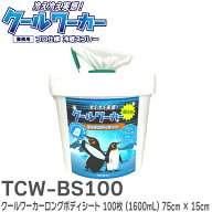 TCW-BS100 クールワーカーロングボディシート容器入 100枚（1600mL） / 75cm × 15cm TCW-BS100 ボディ用…